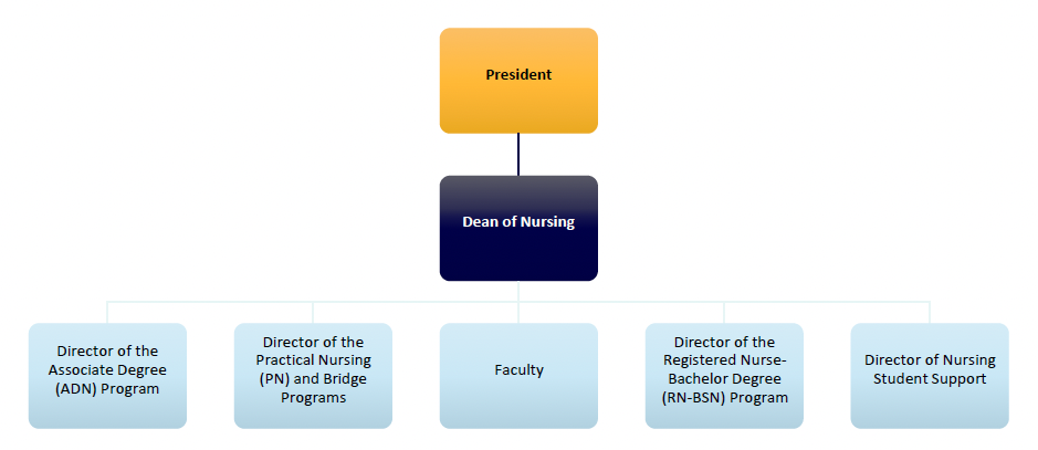 Nursing Department Organizational Chart